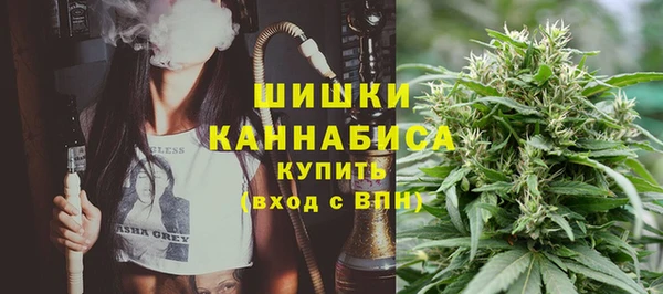 ПСИЛОЦИБИНОВЫЕ ГРИБЫ Белокуриха