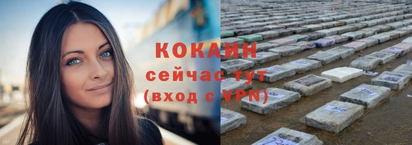 ПСИЛОЦИБИНОВЫЕ ГРИБЫ Белокуриха