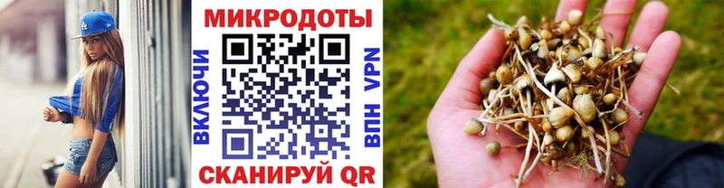 Псилоцибиновые грибы прущие грибы  Обь 