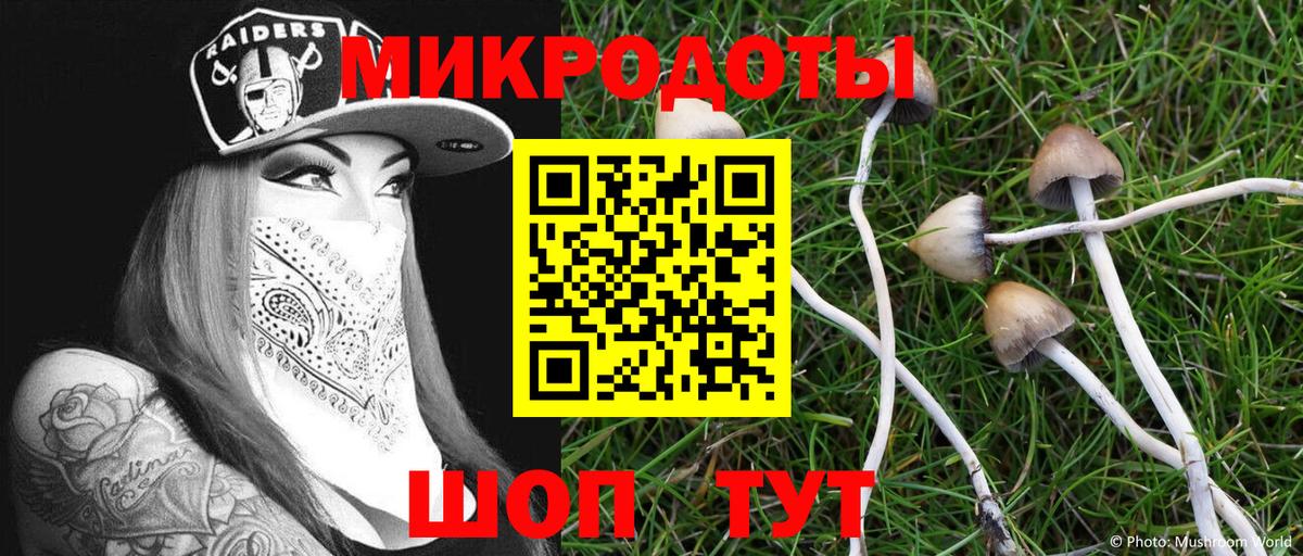Галлюциногенные грибы Cubensis Обь